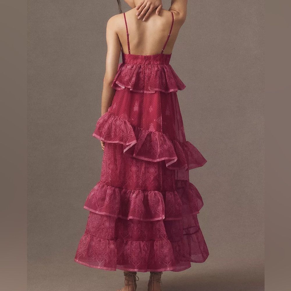 Let Me Be Sleeveless Sheer Tiered Midi Dress - Picture 3 of 3